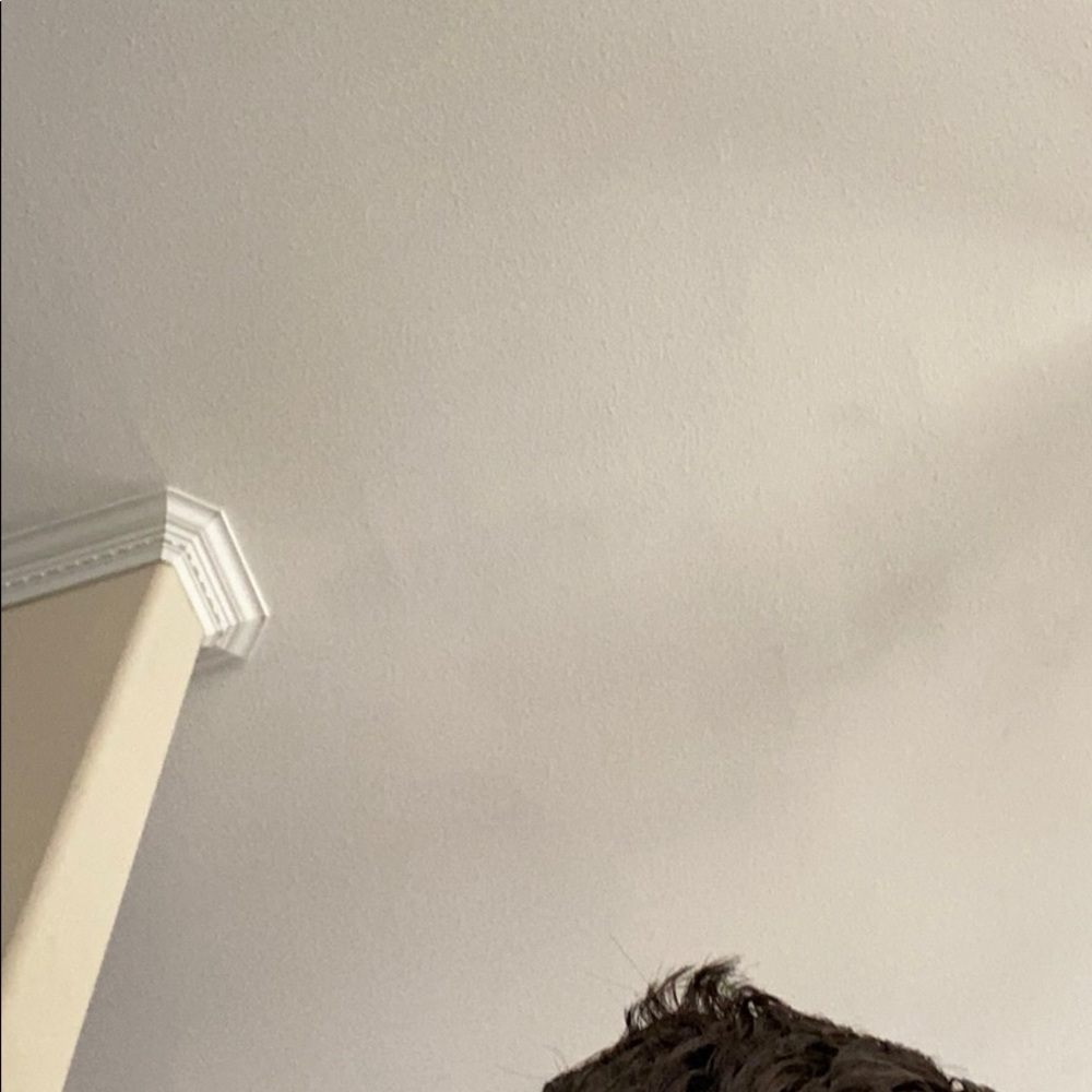 Meet your Posher, Kevin